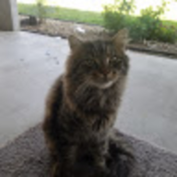 Meet your Posher, Alma - Picture 1 of 1